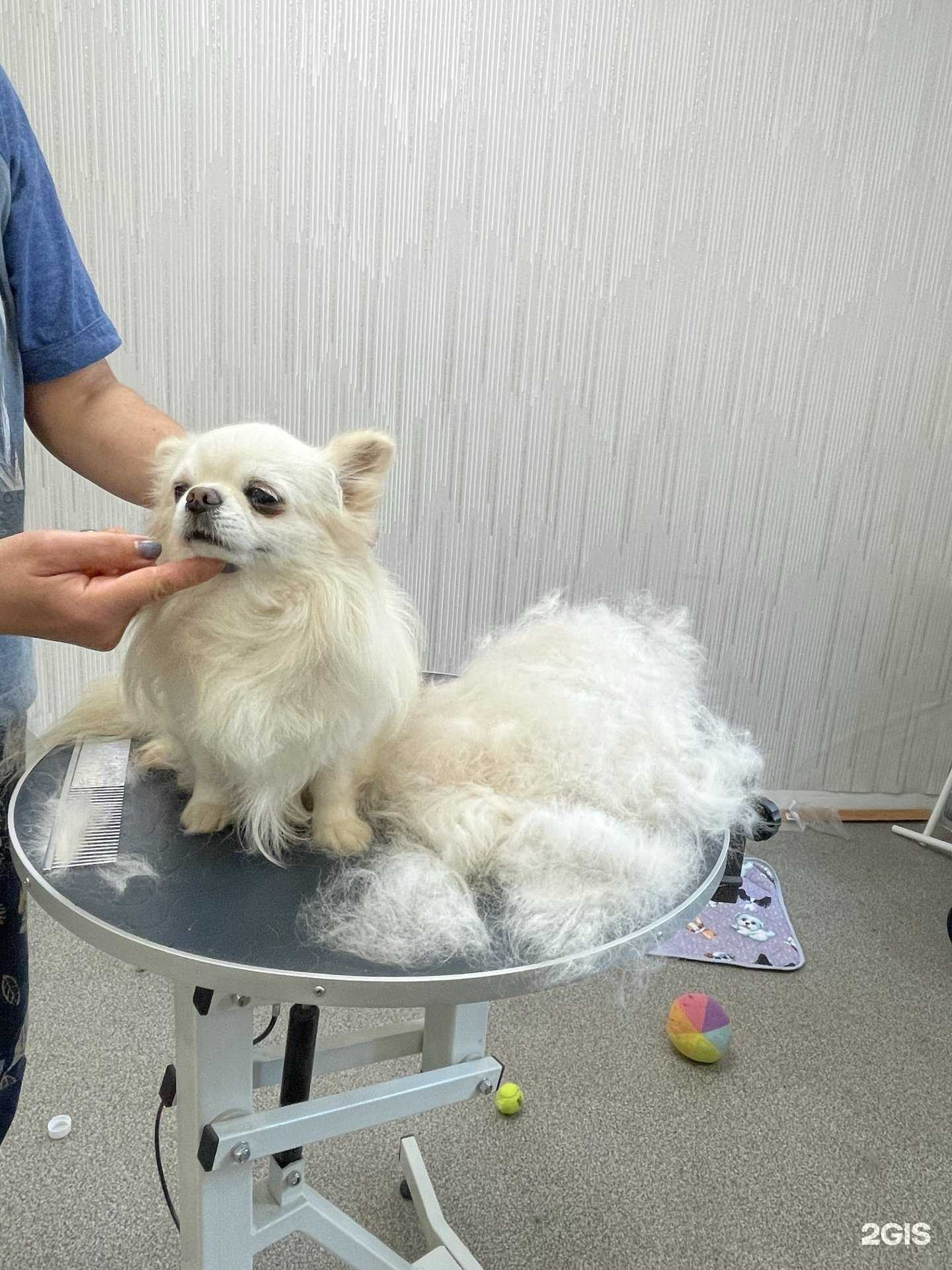 Отзывы на компанию Манзана де Оро в г. Бердск c фото