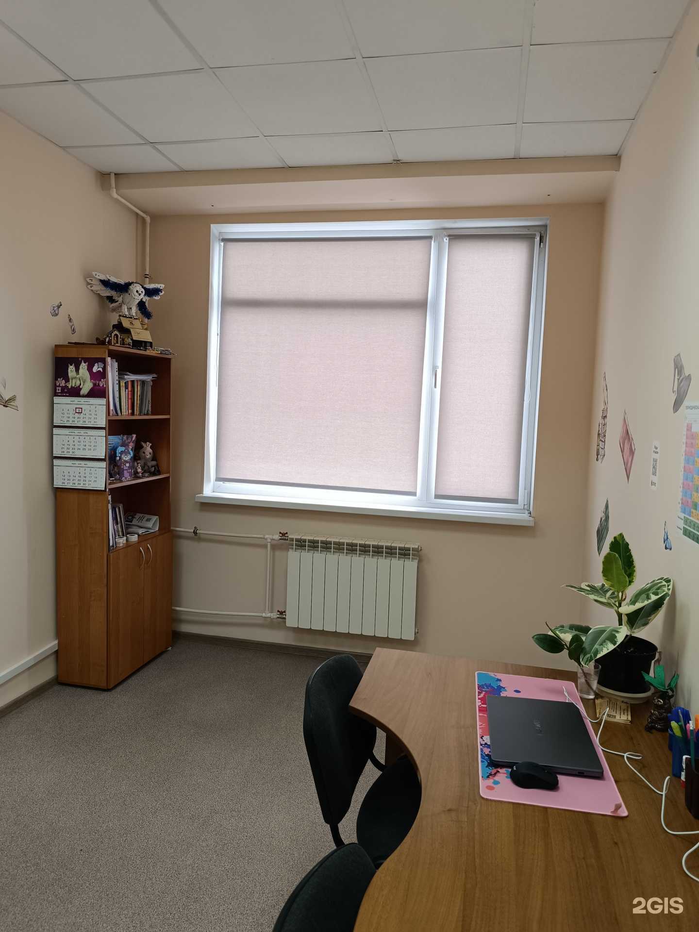 Отзывы на компанию Кот учёный в Омске c фото