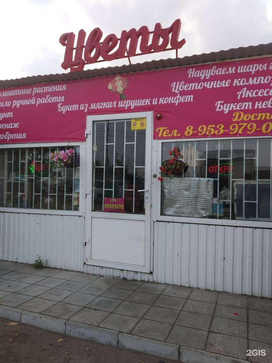 Отзывы на компанию Дом цветов в Саратове c фото