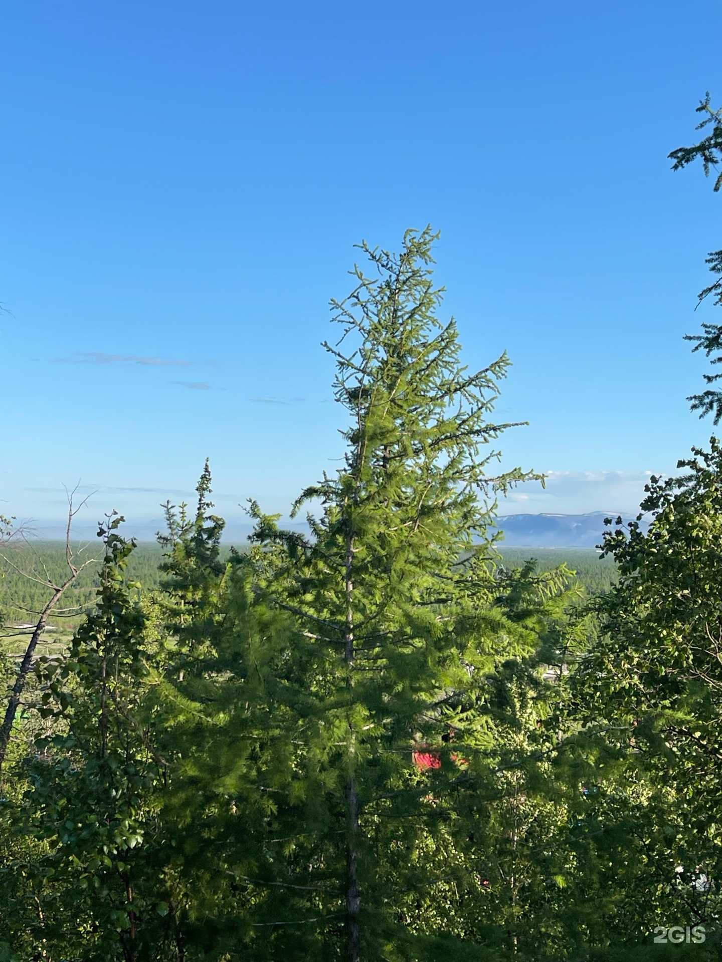 Отзывы на компанию Компания по сдаче домиков в г. Норильск c фото