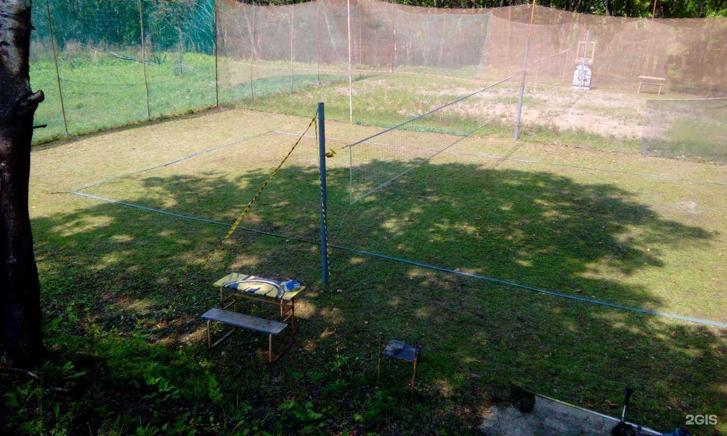 Отзывы на компанию Морские львы в г. Находка c фото