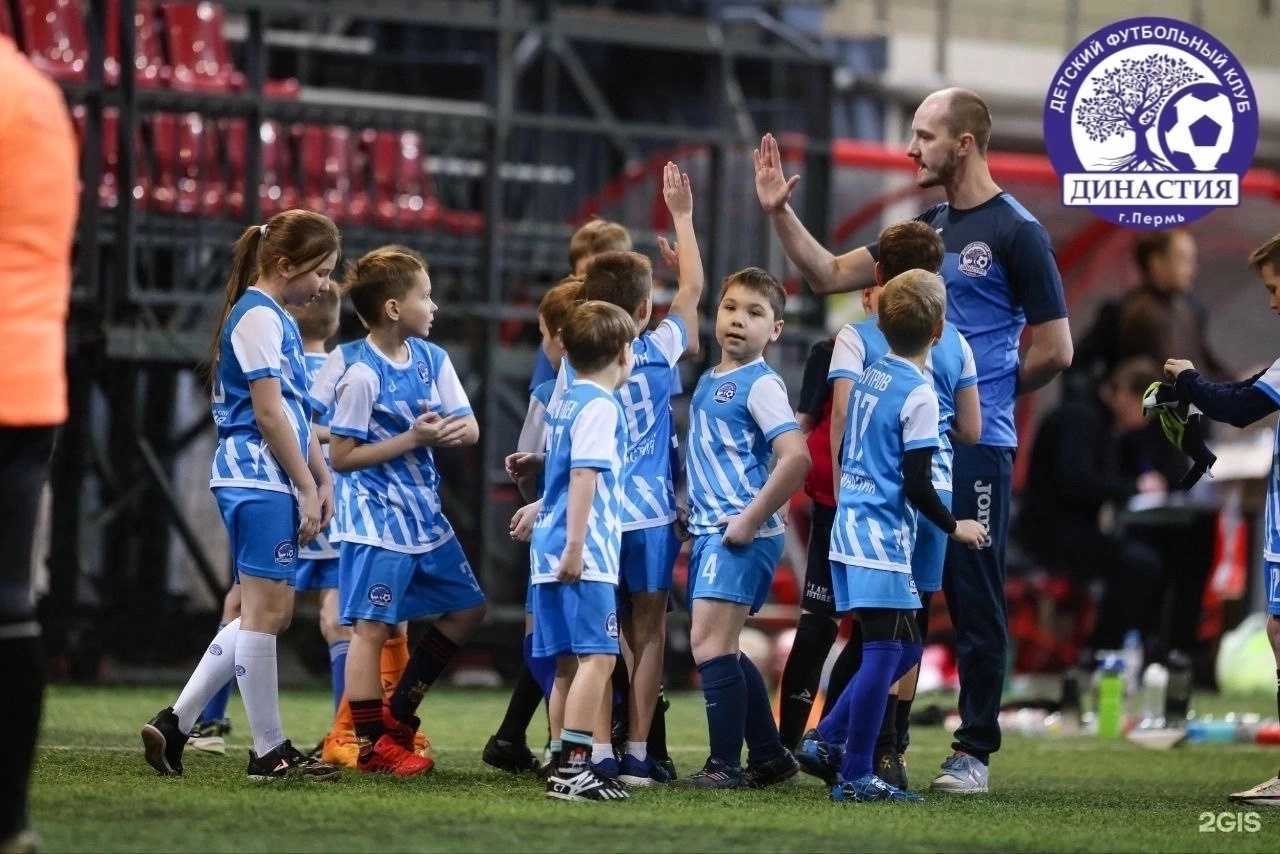 Отзывы на компанию Династия в г. Пермь c фото