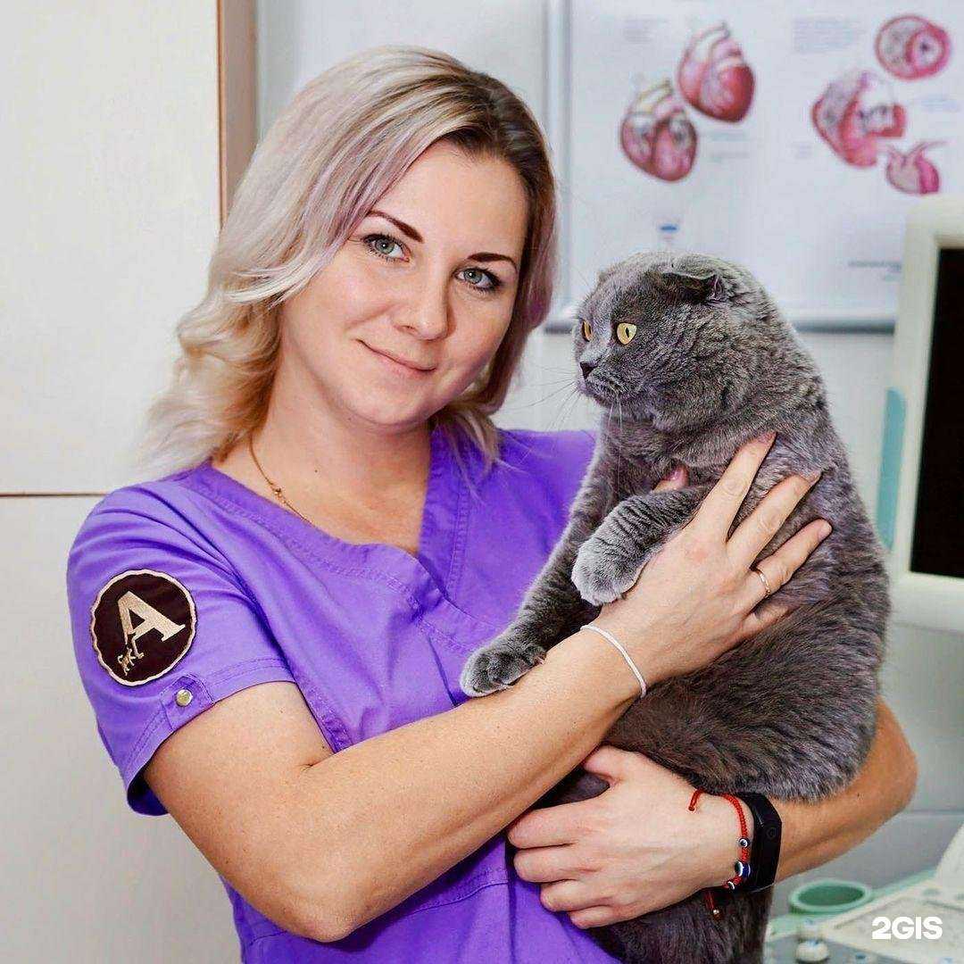 Отзывы на компанию Айболит в Грозном c фото