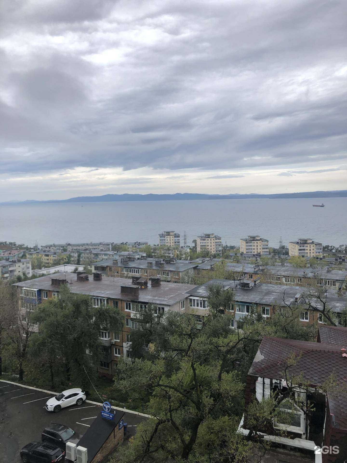 Отзывы на компанию Дельфин в Владивостоке c фото - фотография 2 из 2