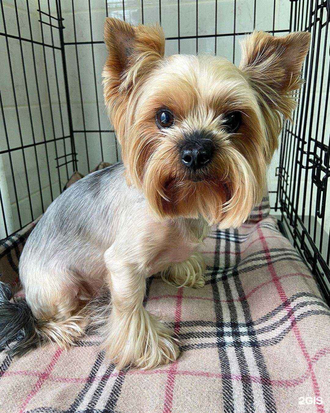 Отзывы на компанию Дарвин в Сосновоборске c фото