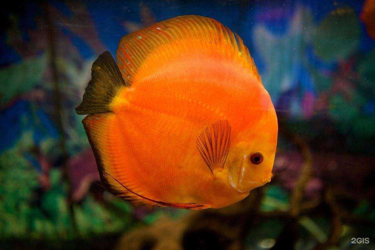 Отзывы на компанию Бриг в г. Темрюк c фото