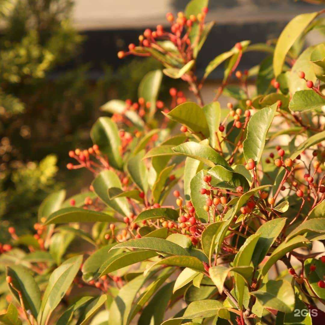 Отзывы на компанию Мандарин в г. Новороссийск c фото