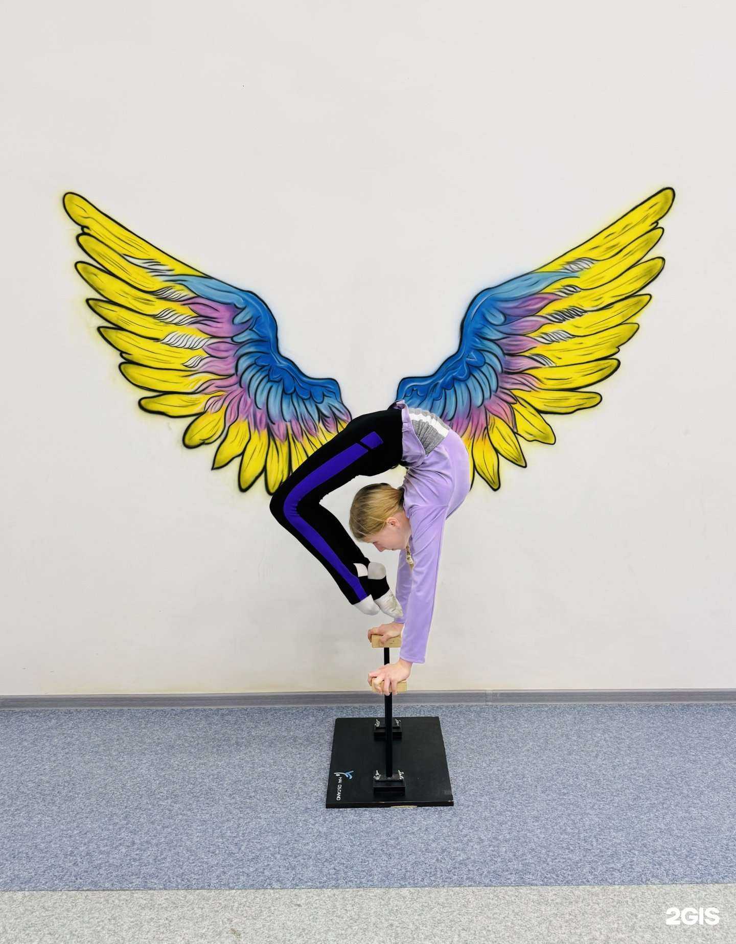 Отзывы на компанию Крылья в Нижневартовске c фото