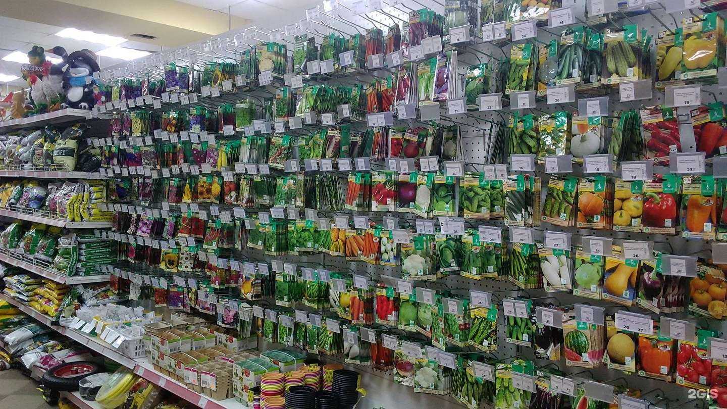 Отзывы на компанию Кенгуру в г. Иваново c фото