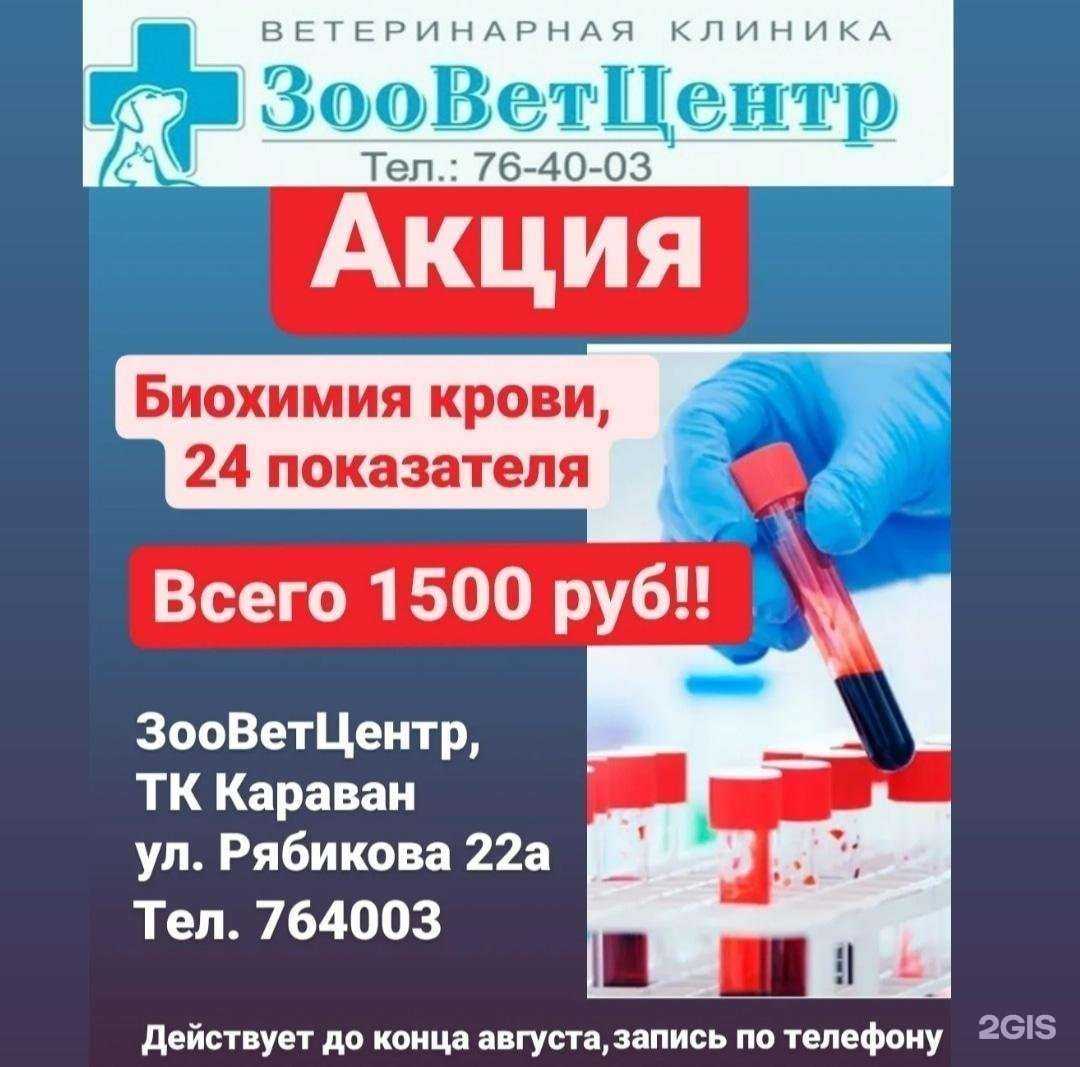 Отзывы на компанию ЗооВетЦентр в Ульяновске c фото