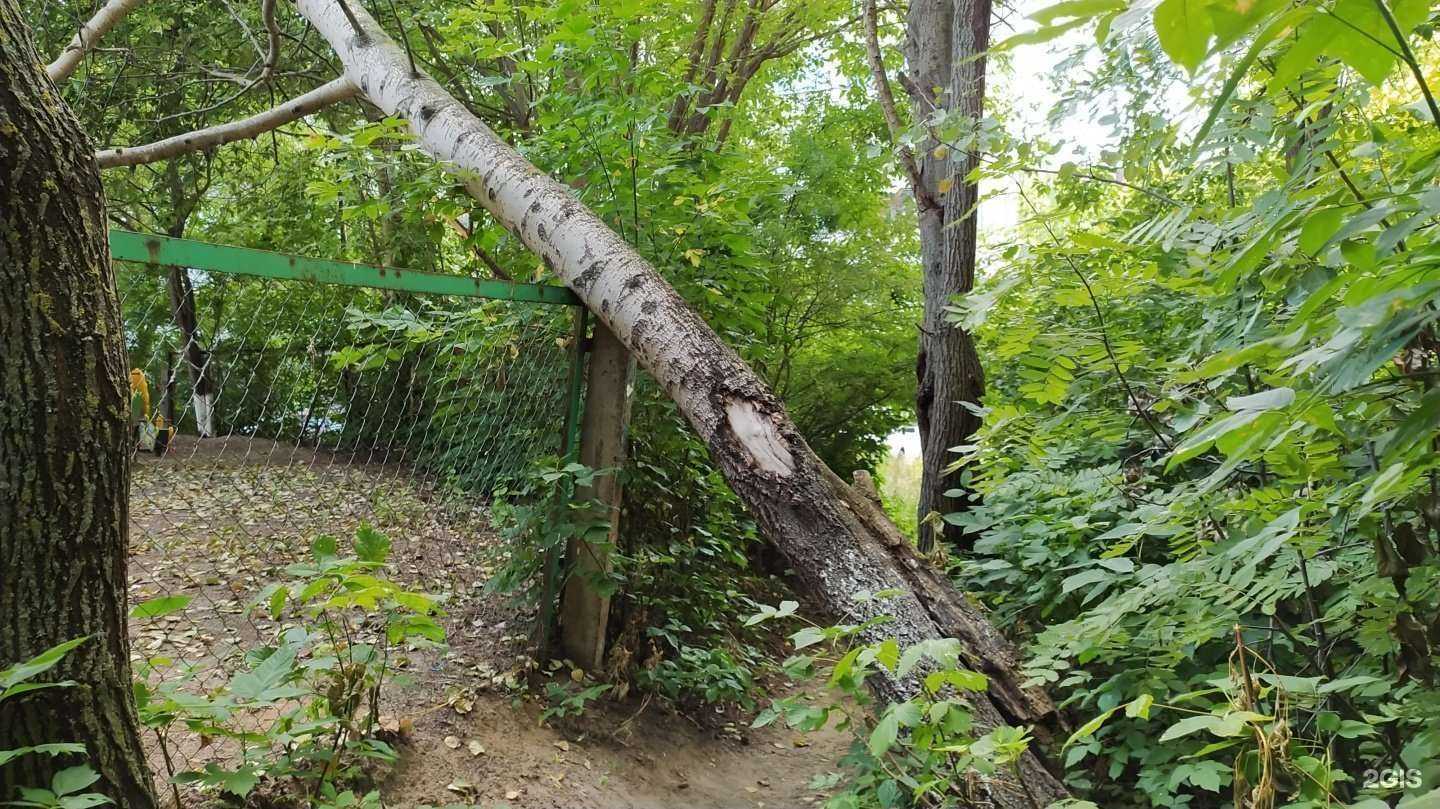 Отзывы на компанию Детский сад №459 в Нижнем Новгороде c фото