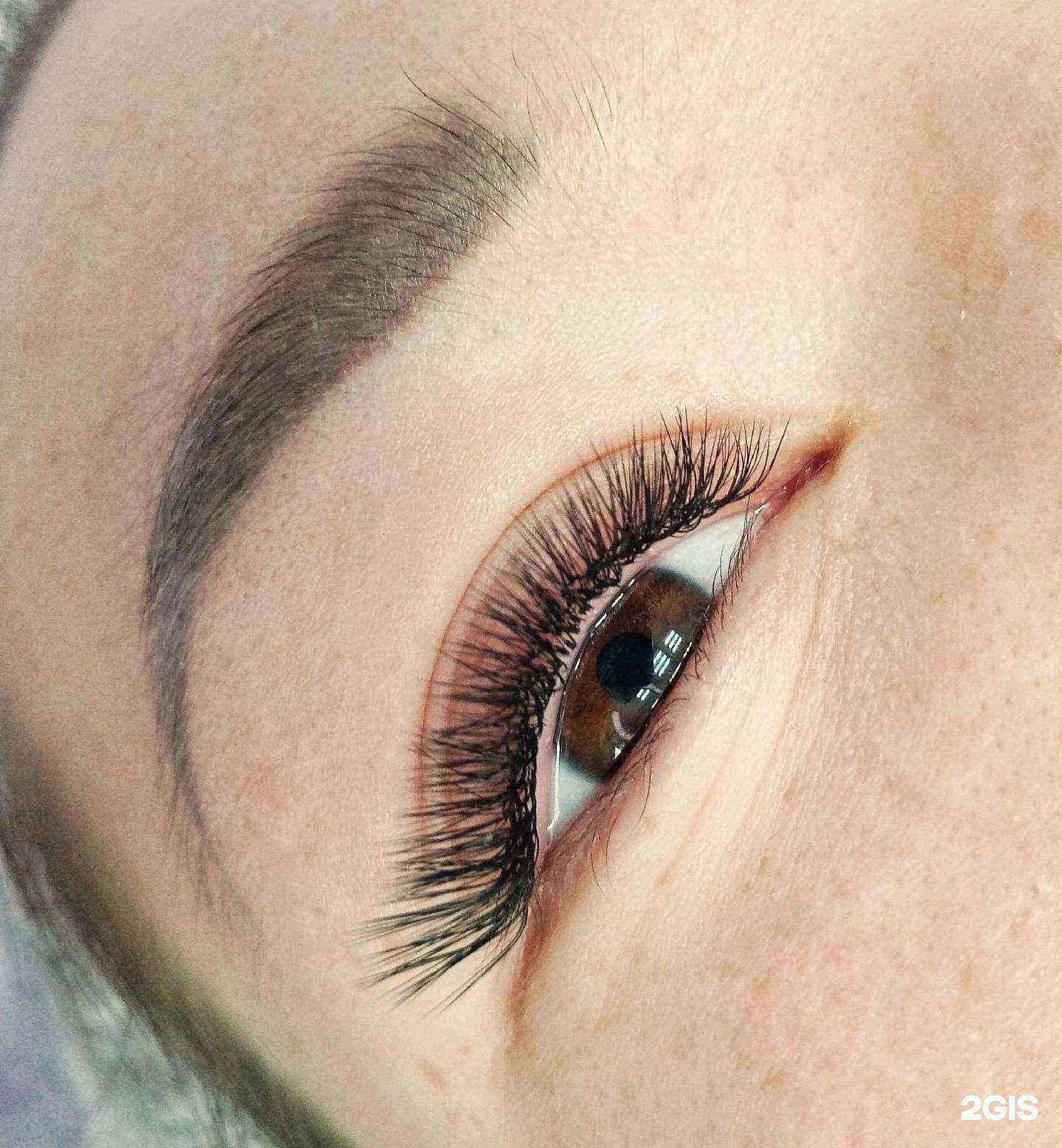 Отзывы на компанию Алиса в Копейске c фото - фотография 2 из 2