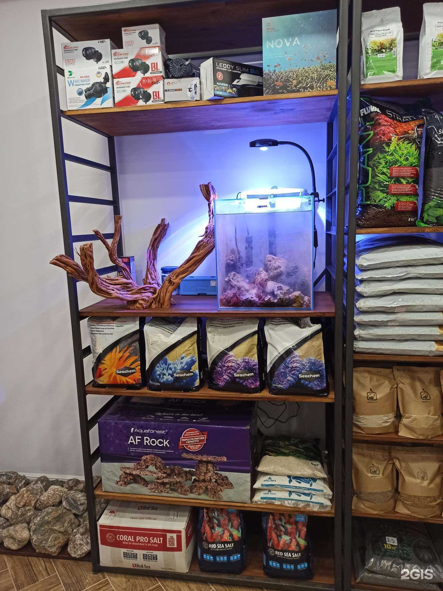 Отзывы на компанию Scaper`s house в г. Калининград c фото