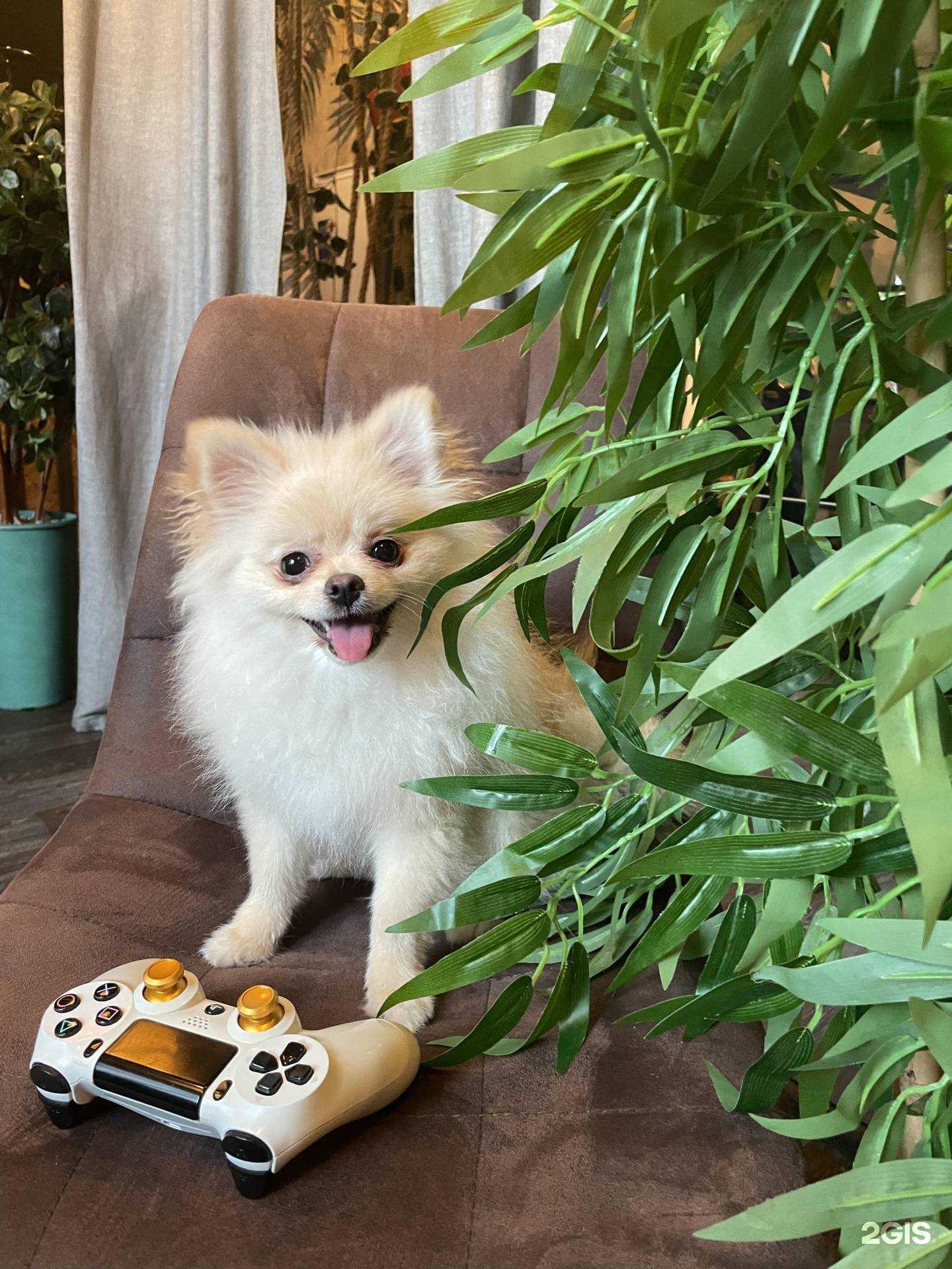 Отзывы на компанию Paradise Time в г. Ростов-на-Дону c фото