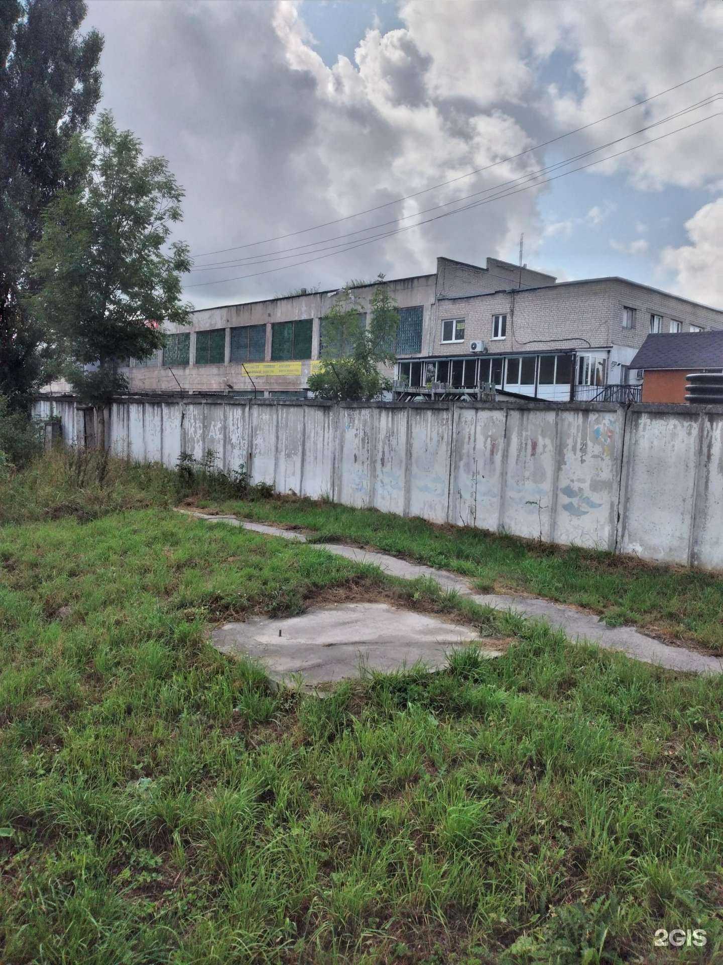 Отзывы на компанию Long life в Калининграде c фото