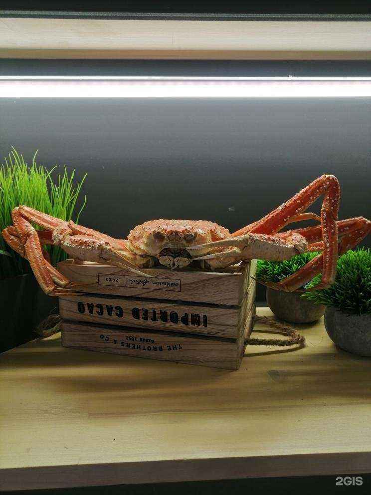 Отзывы на компанию Деликатес48 в г. Липецк c фото