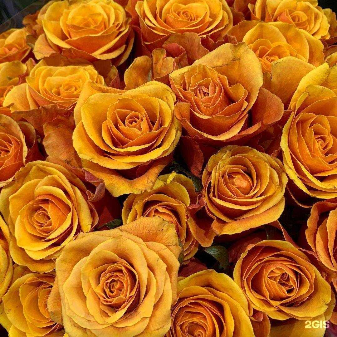 Отзывы на компанию Три сестры в Оренбурге c фото