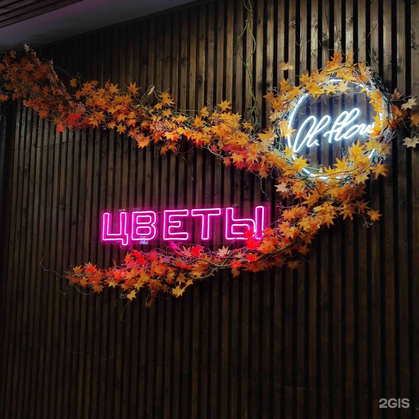 Отзывы на компанию Ol. Flow в Саратове c фото