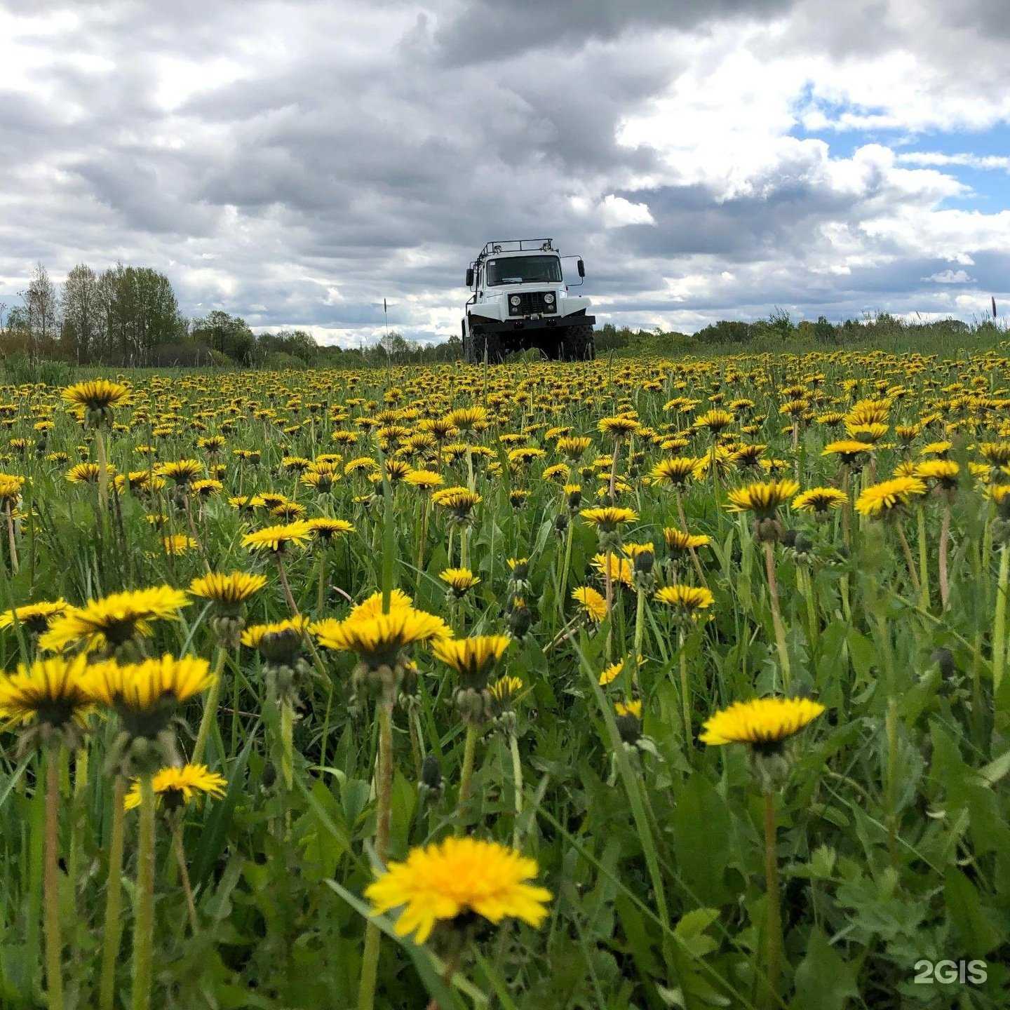 Отзывы на компанию Завод Вездеходных Машин в г. Заволжье c фото