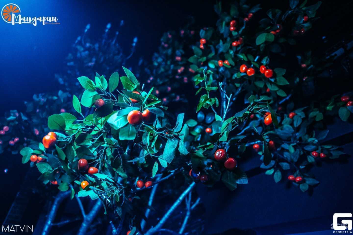 Отзывы на компанию Кухня в Калуге c фото