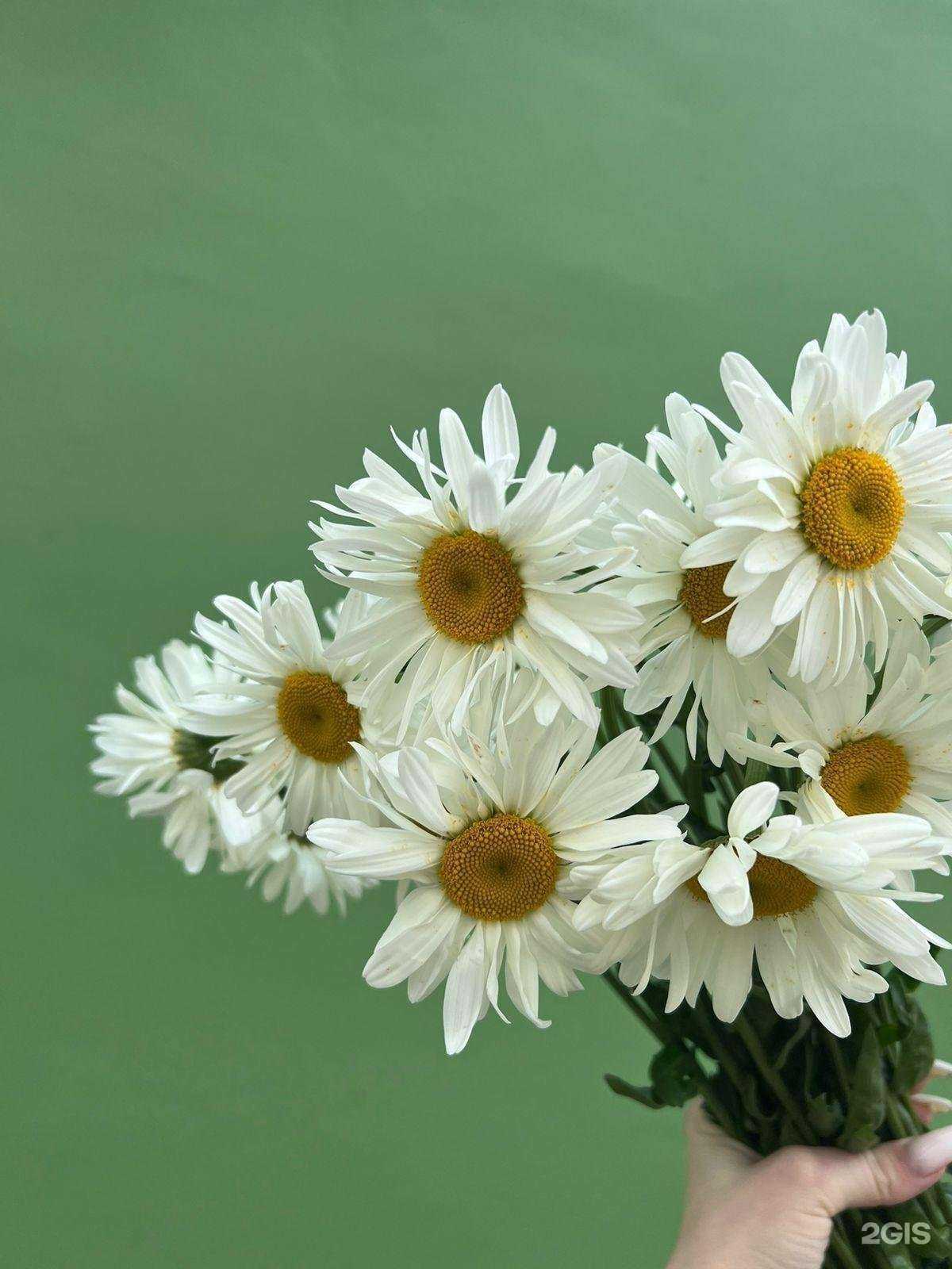 Отзывы на компанию Краснова в г. Владимир c фото