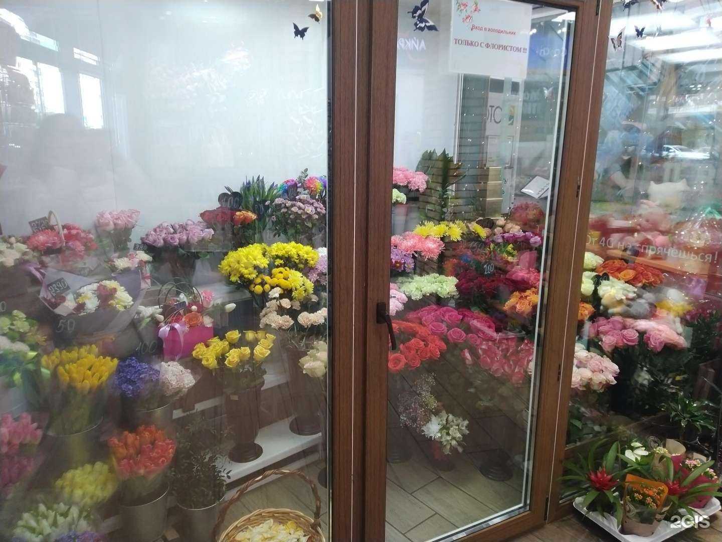 Отзывы на компанию Donna rose в Химках c фото