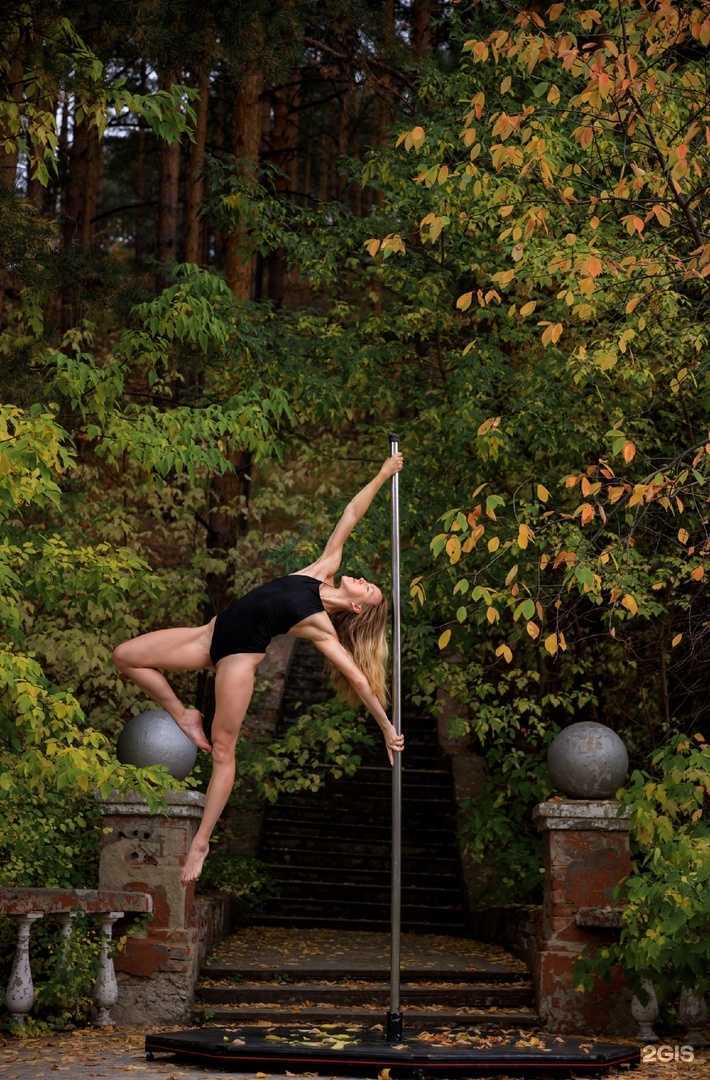 Отзывы на компанию Force в Каменске-Уральском c фото