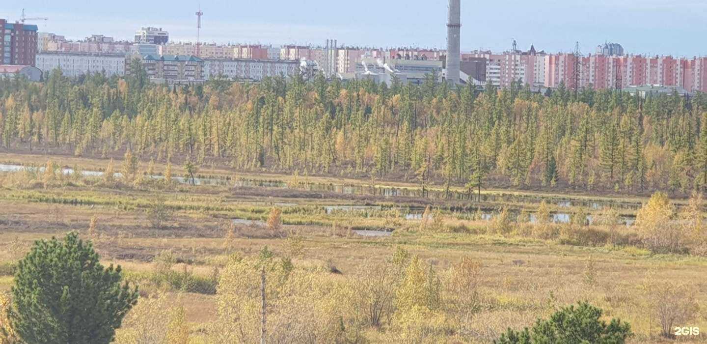 Отзывы на компанию Мелеста в Новом Уренгое c фото - фотография 2 из 2