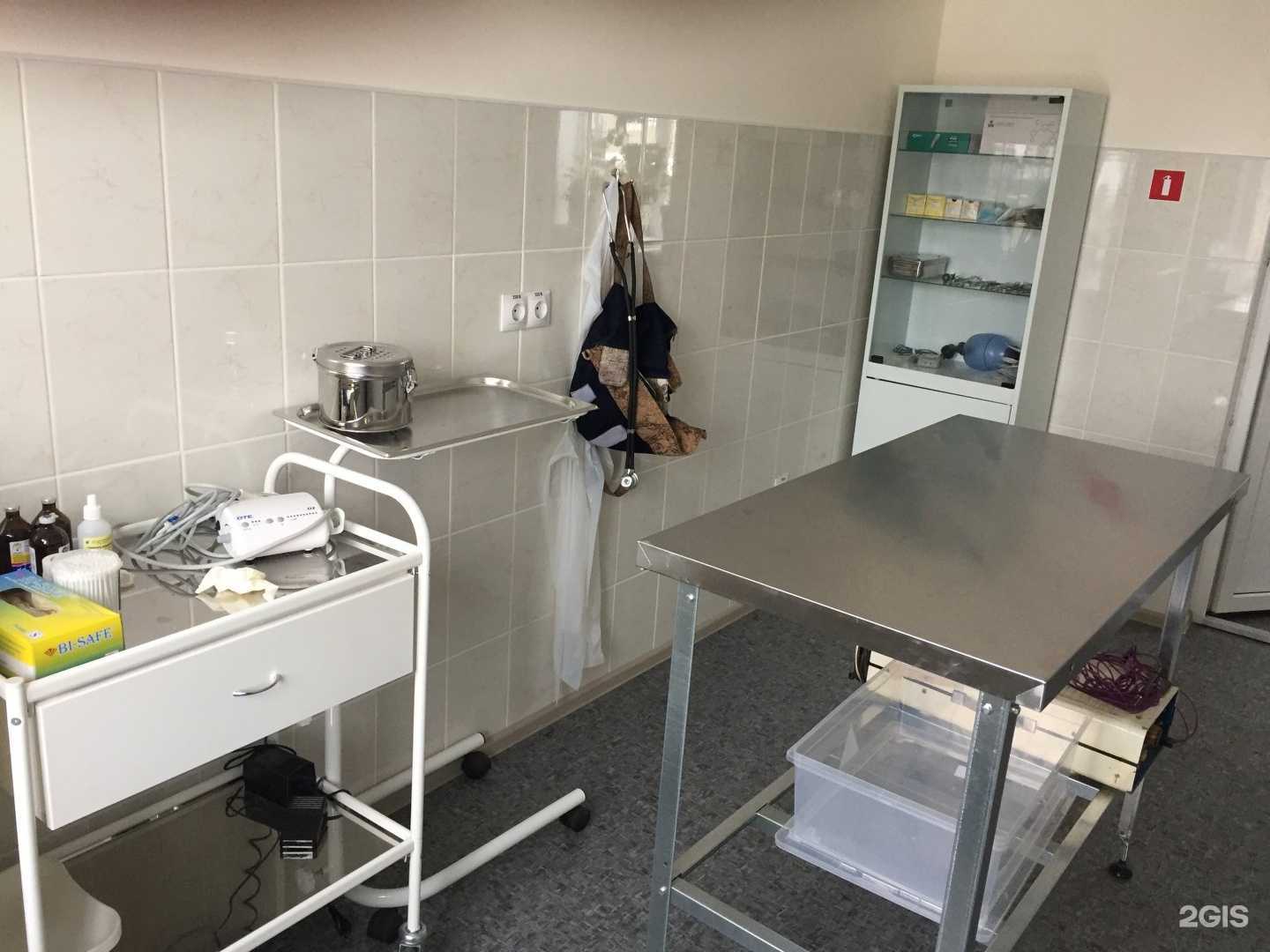 Отзывы на компанию Ветеринарная клиника доктора Анникова в г. Саратов c фото