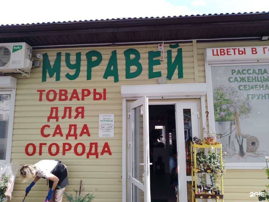 Отзывы на компанию Муравей в Геленджике c фото