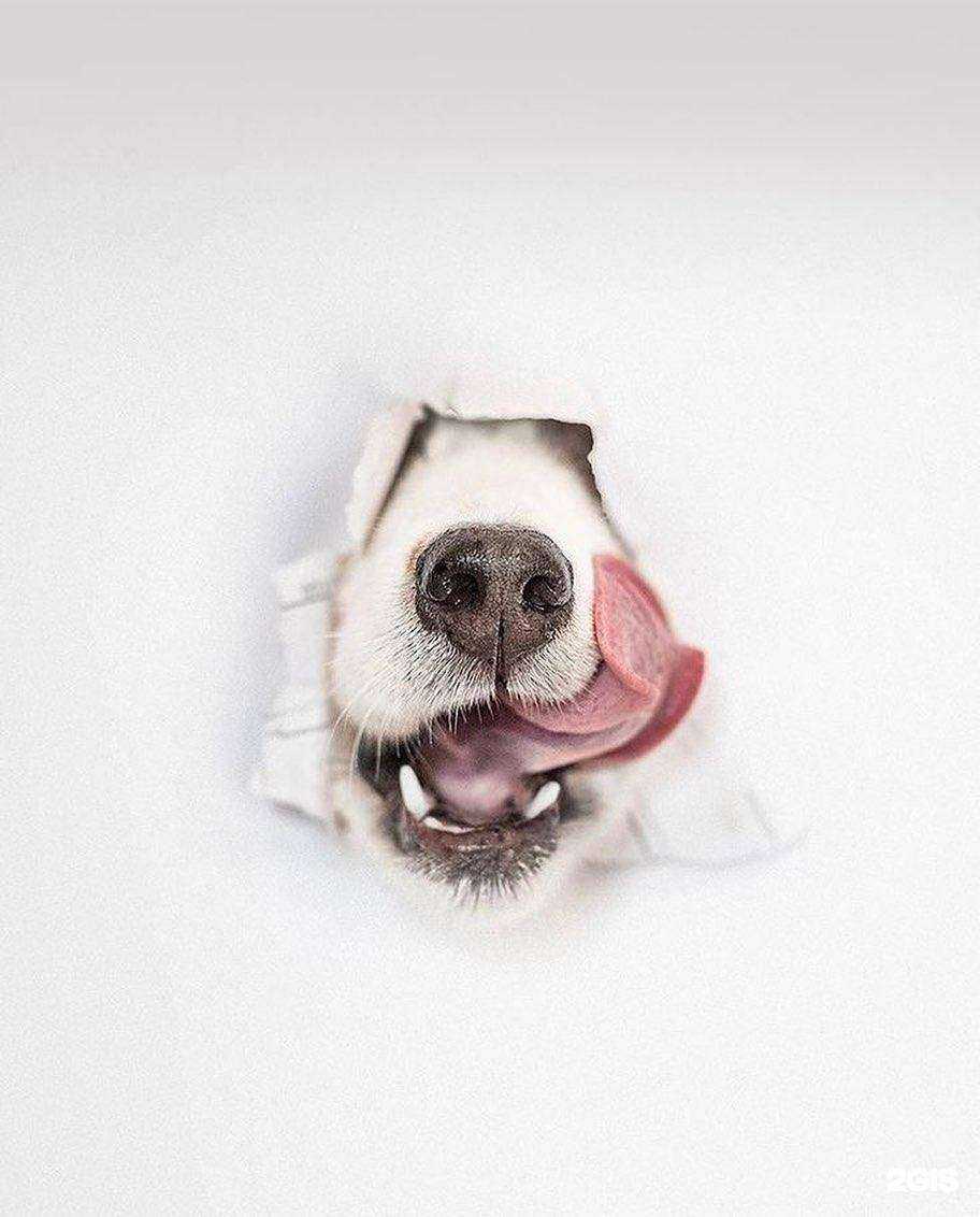 Отзывы на компанию Vetar в г. Балаково c фото