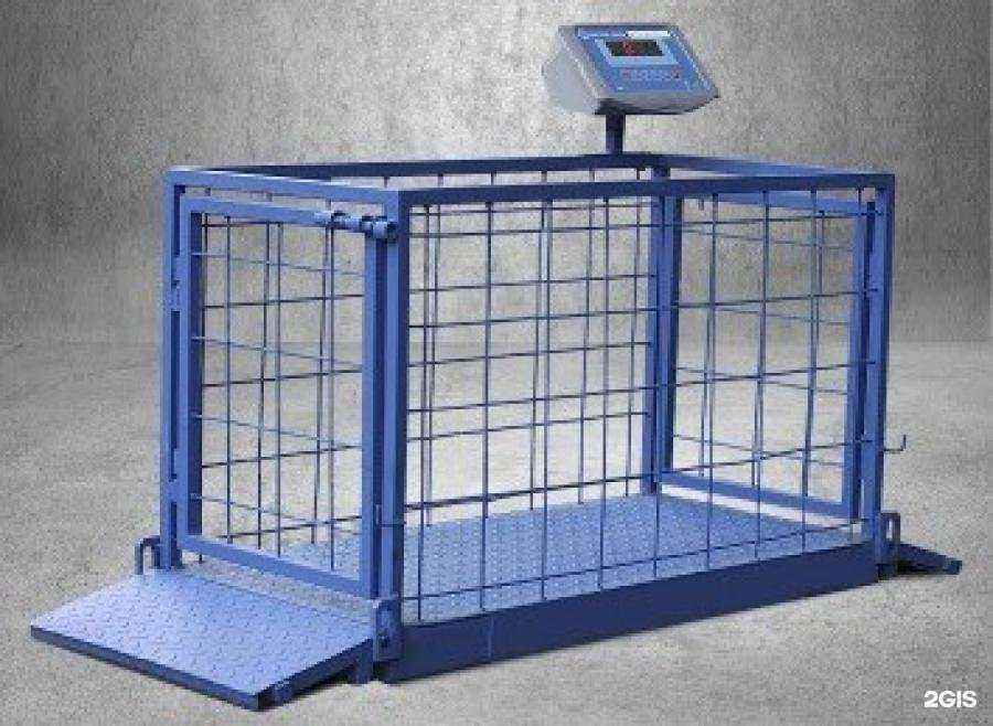 Отзывы на компанию Потенциал в Вологде c фото