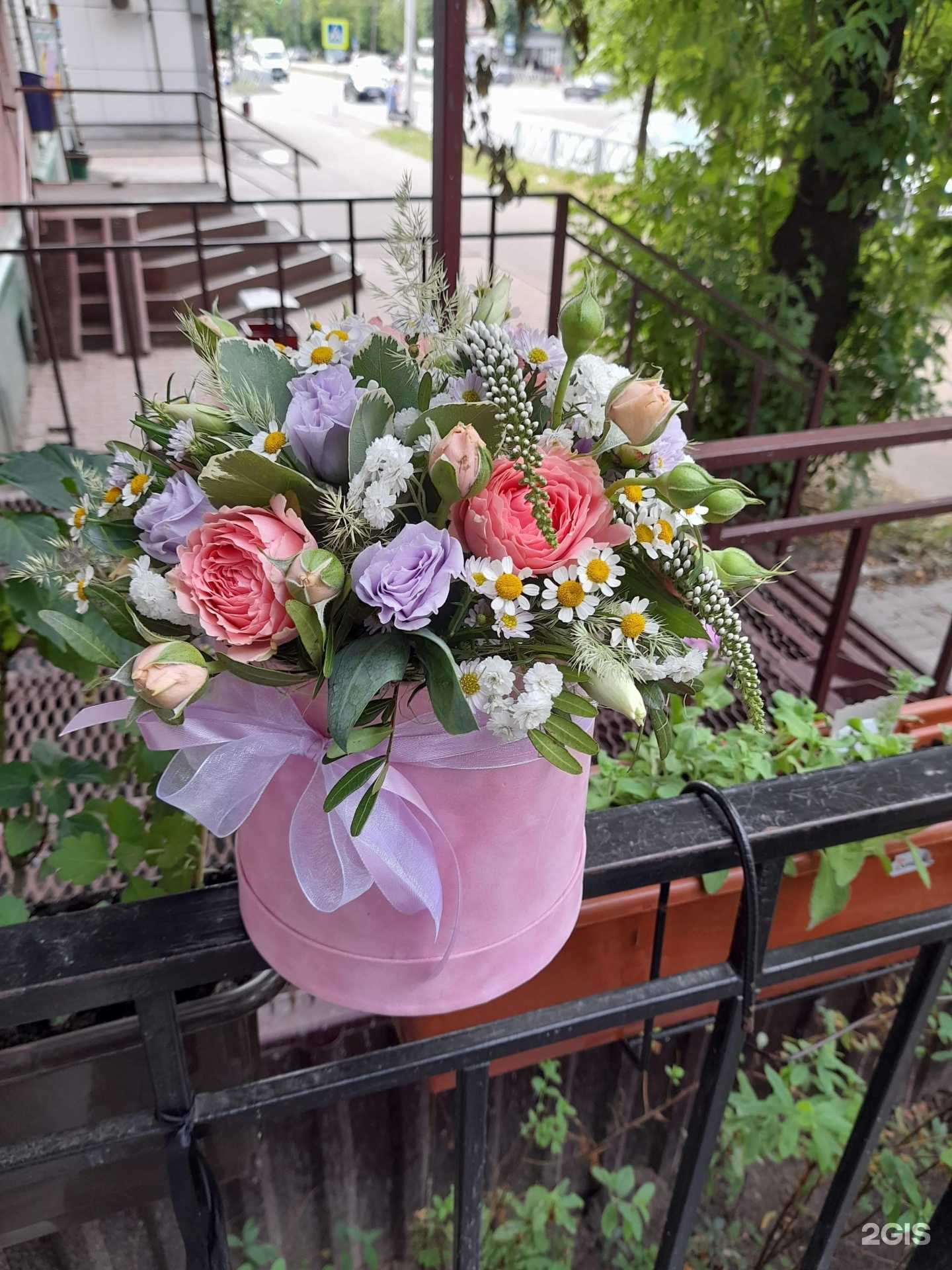 Отзывы на компанию Клумба в г. Ярославль c фото