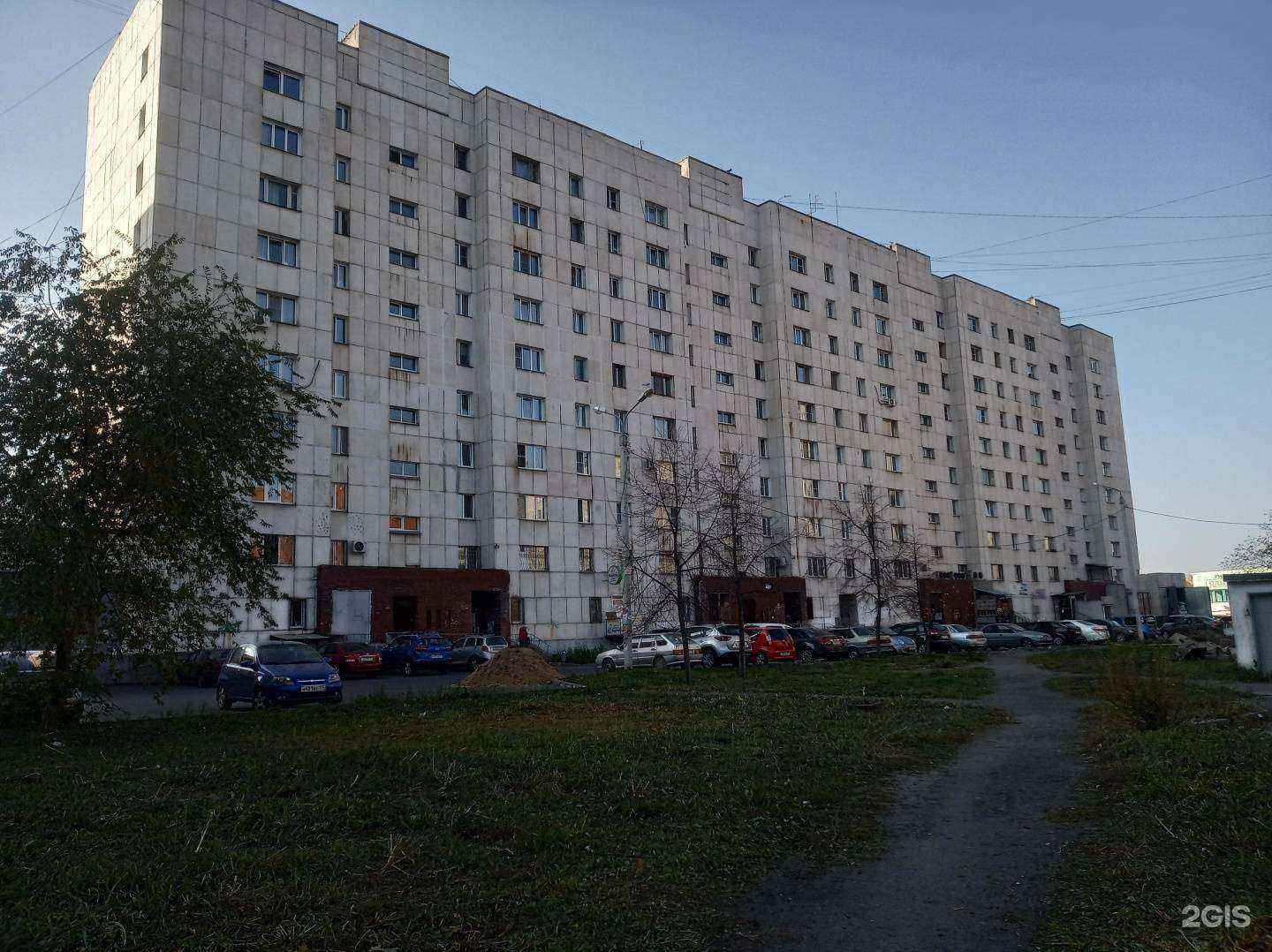 Отзывы на компанию Маугли в Челябинске c фото - фотография 2 из 2