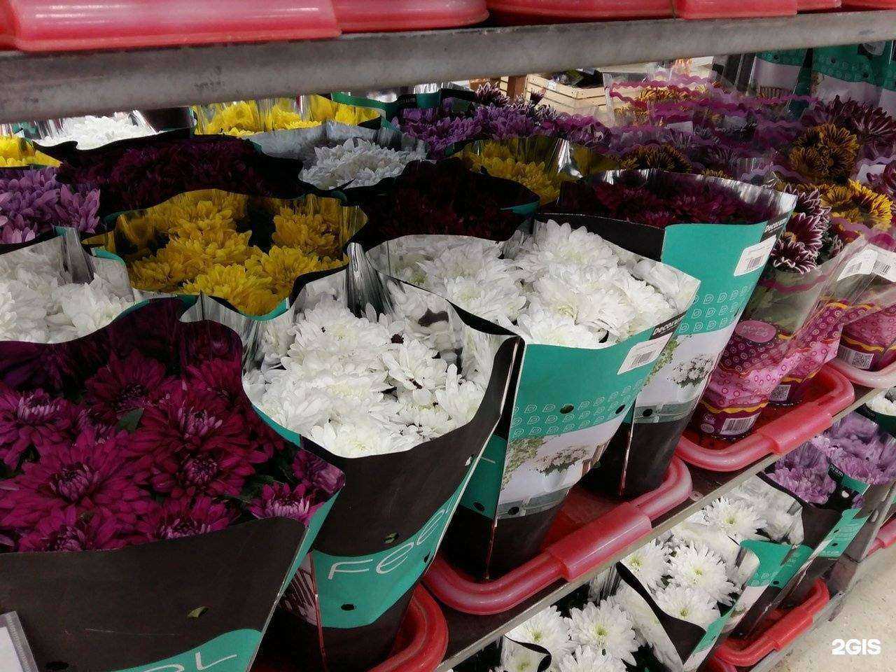 Отзывы на компанию Мега в Северодвинске c фото