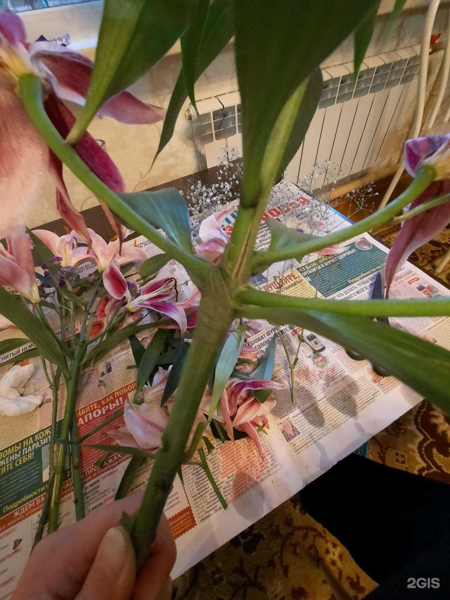 Отзывы на компанию Florist и я в г. Минусинск c фото