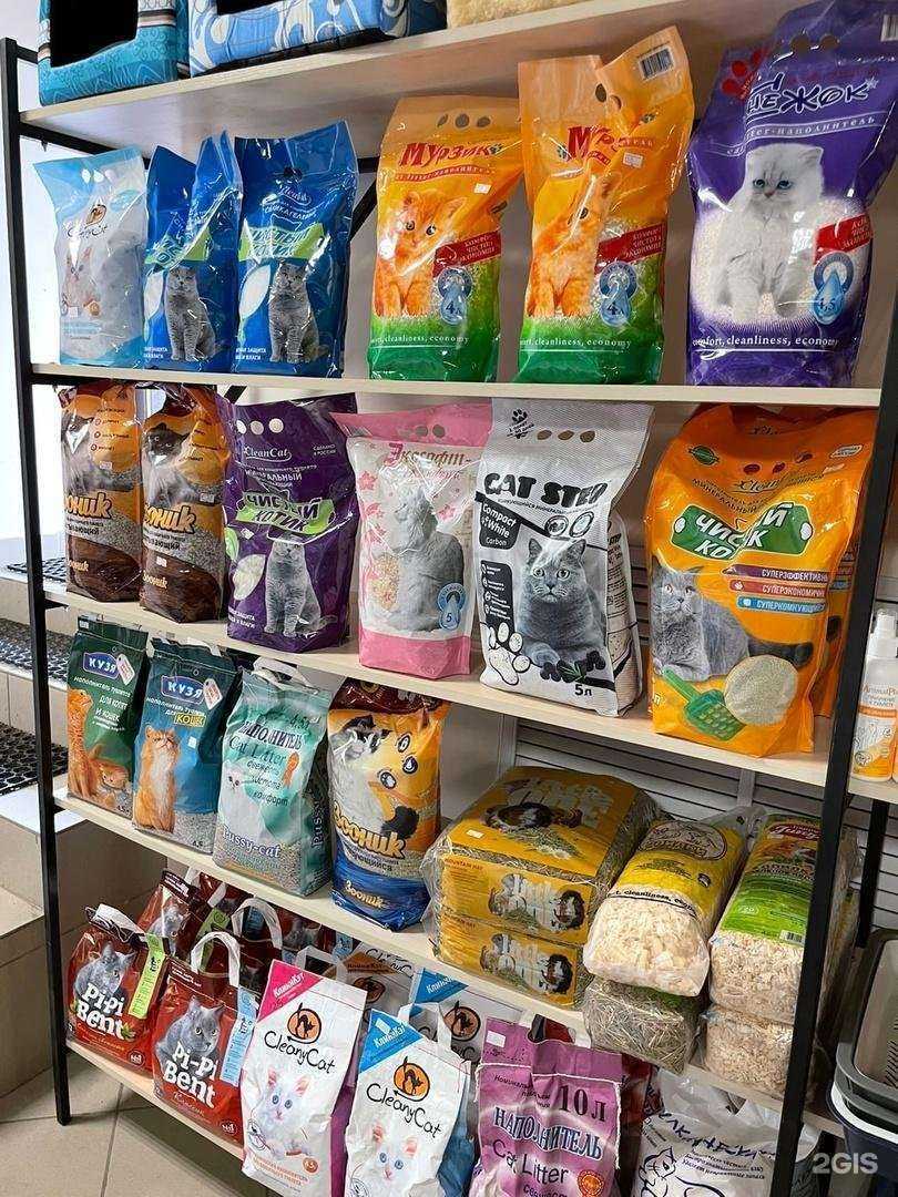 Отзывы на компанию Zoo Ковчег в Кирове c фото