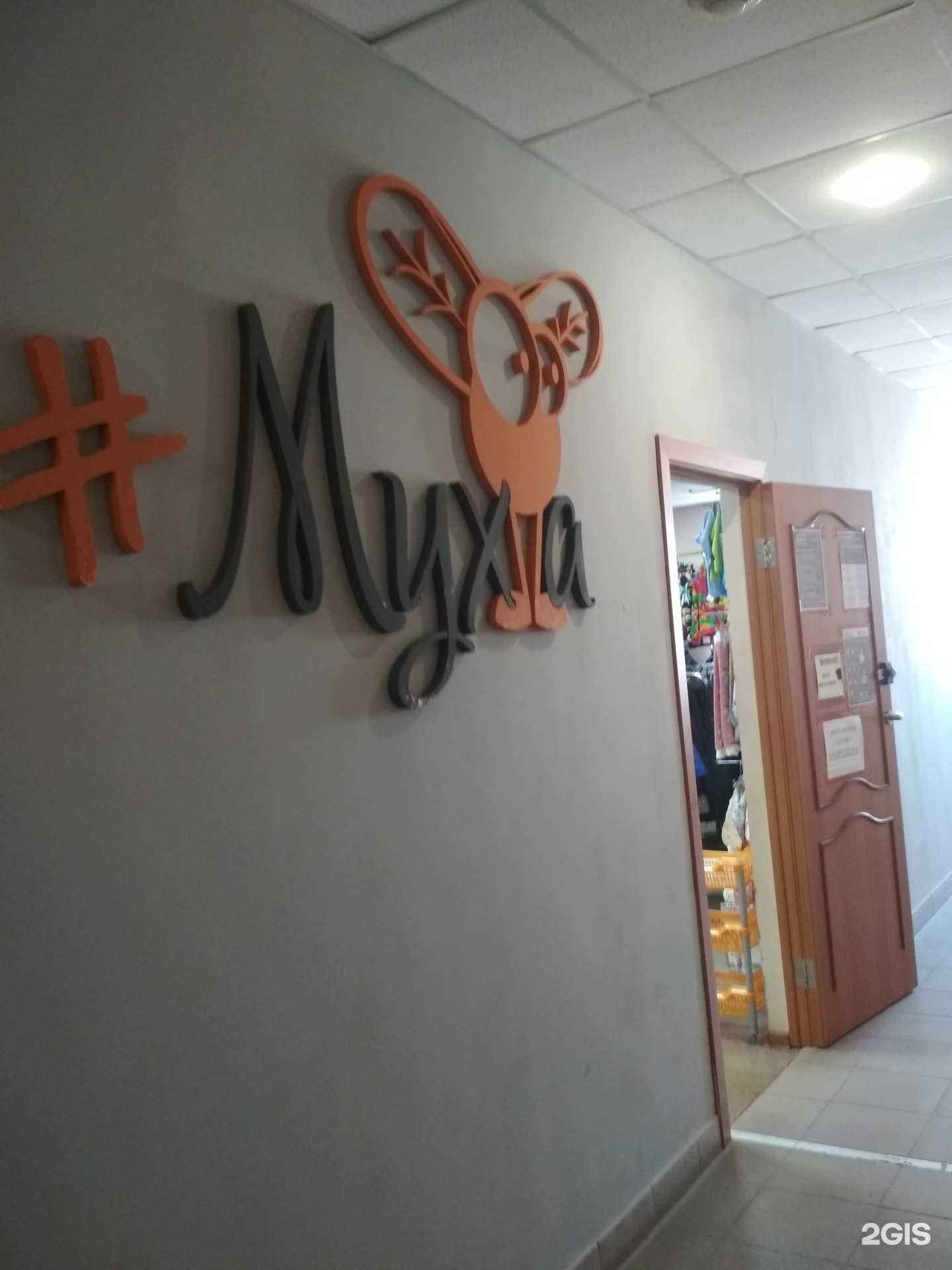 Отзывы на компанию Муха в Тюмени c фото