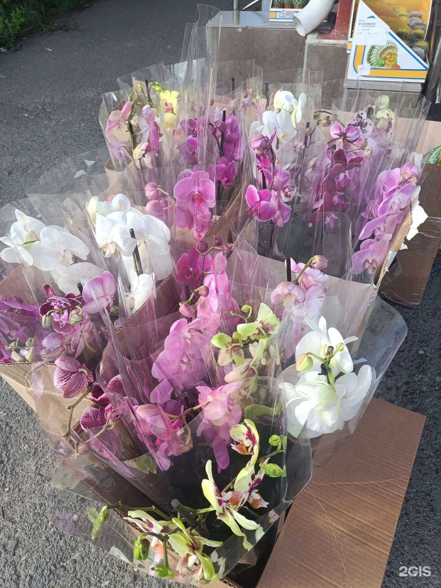 Отзывы на компанию Ника в г. Архангельск c фото