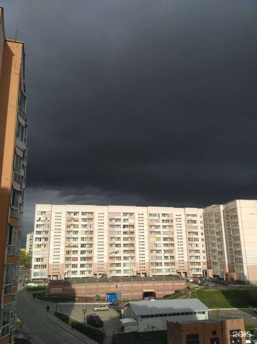 Отзывы на компанию Китёнок в Томске c фото