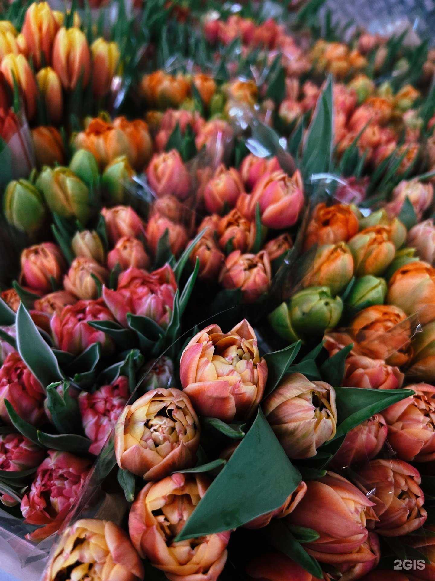 Отзывы на компанию ArtBuket.me в Красноярске c фото