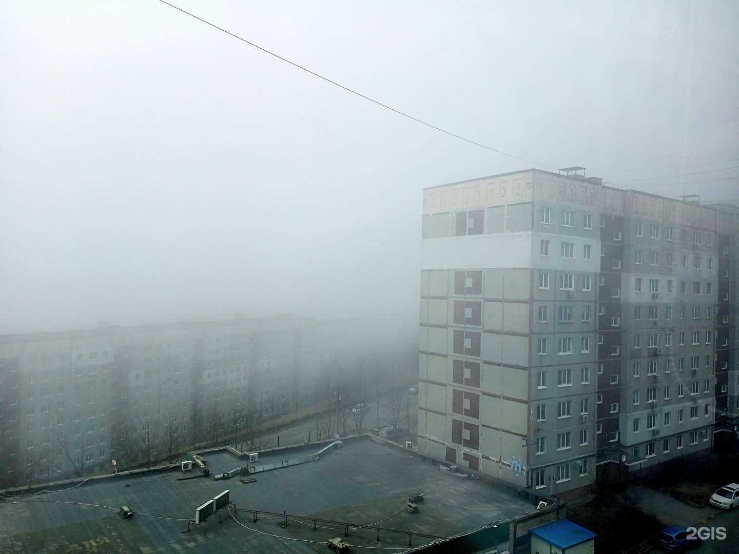 Отзывы на компанию Доминика в Владивостоке c фото - фотография 2 из 2