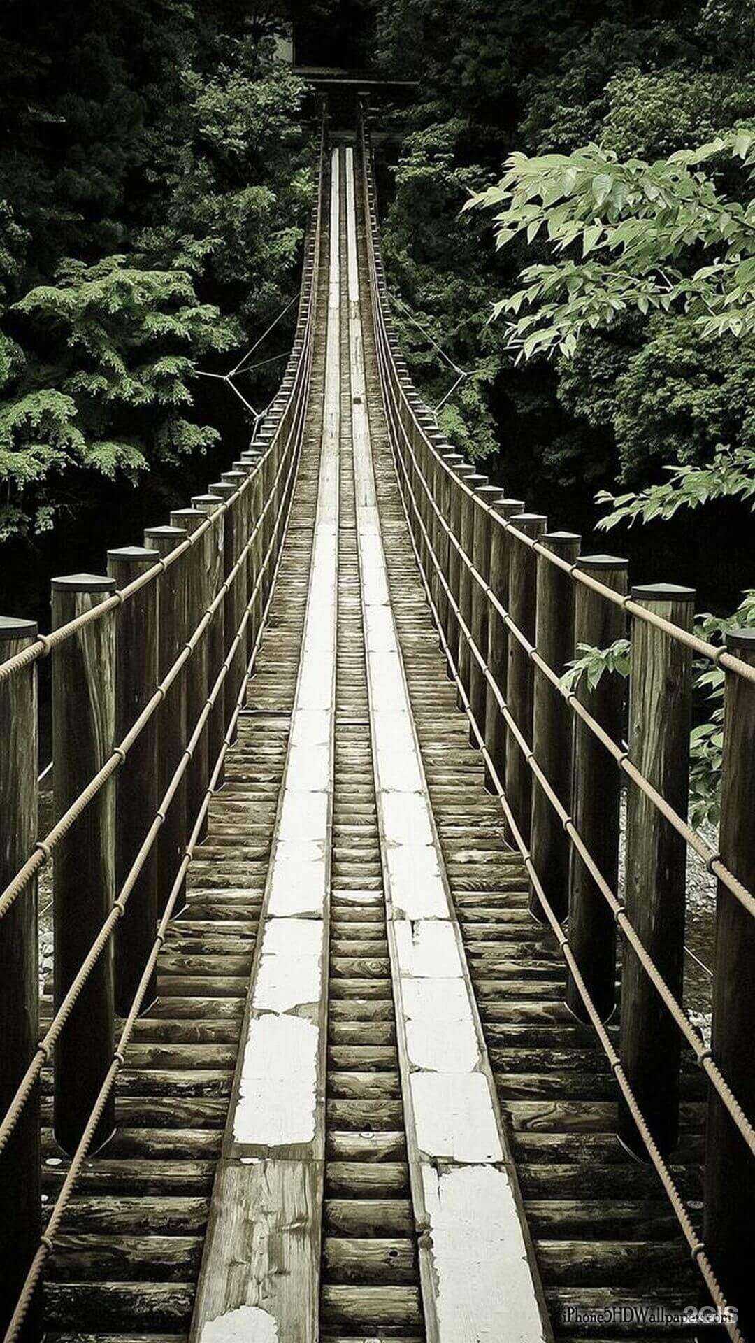 Отзывы на компанию 5С-Проект в Вологде c фото