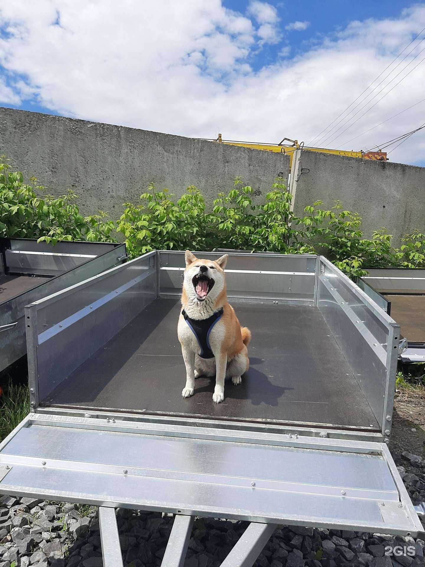 Отзывы на компанию Сибирь-прицеп в г. Новосибирск c фото