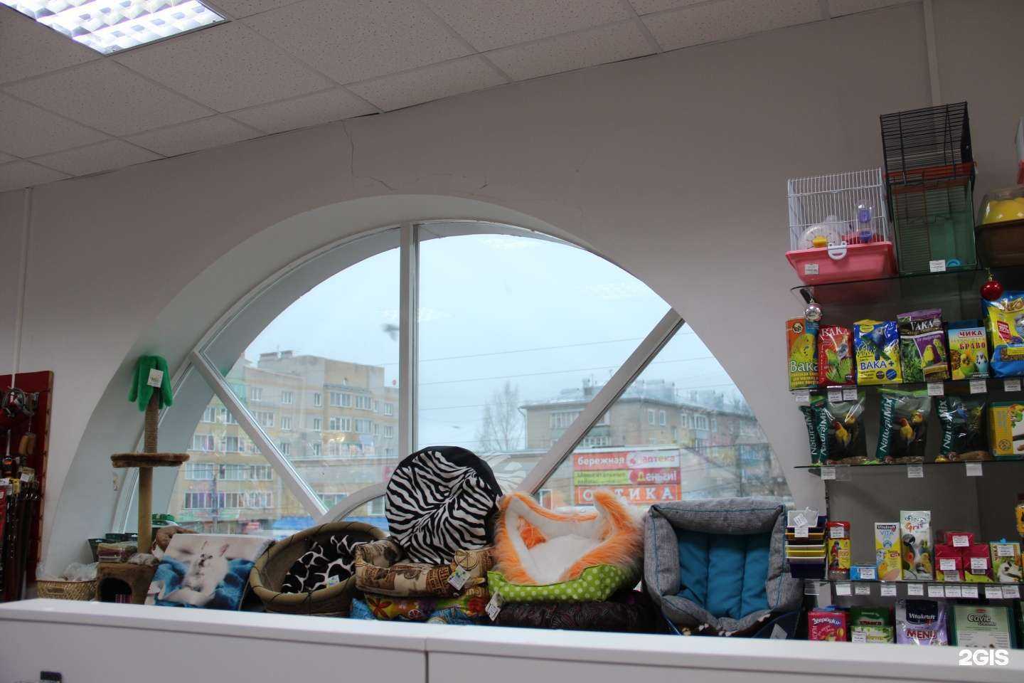 Отзывы на компанию Zoki в г. Киров c фото