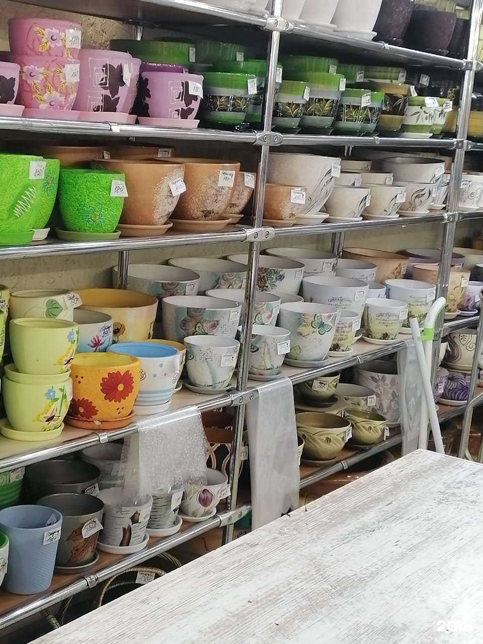 Отзывы на компанию Цветариум в Ессентуках c фото