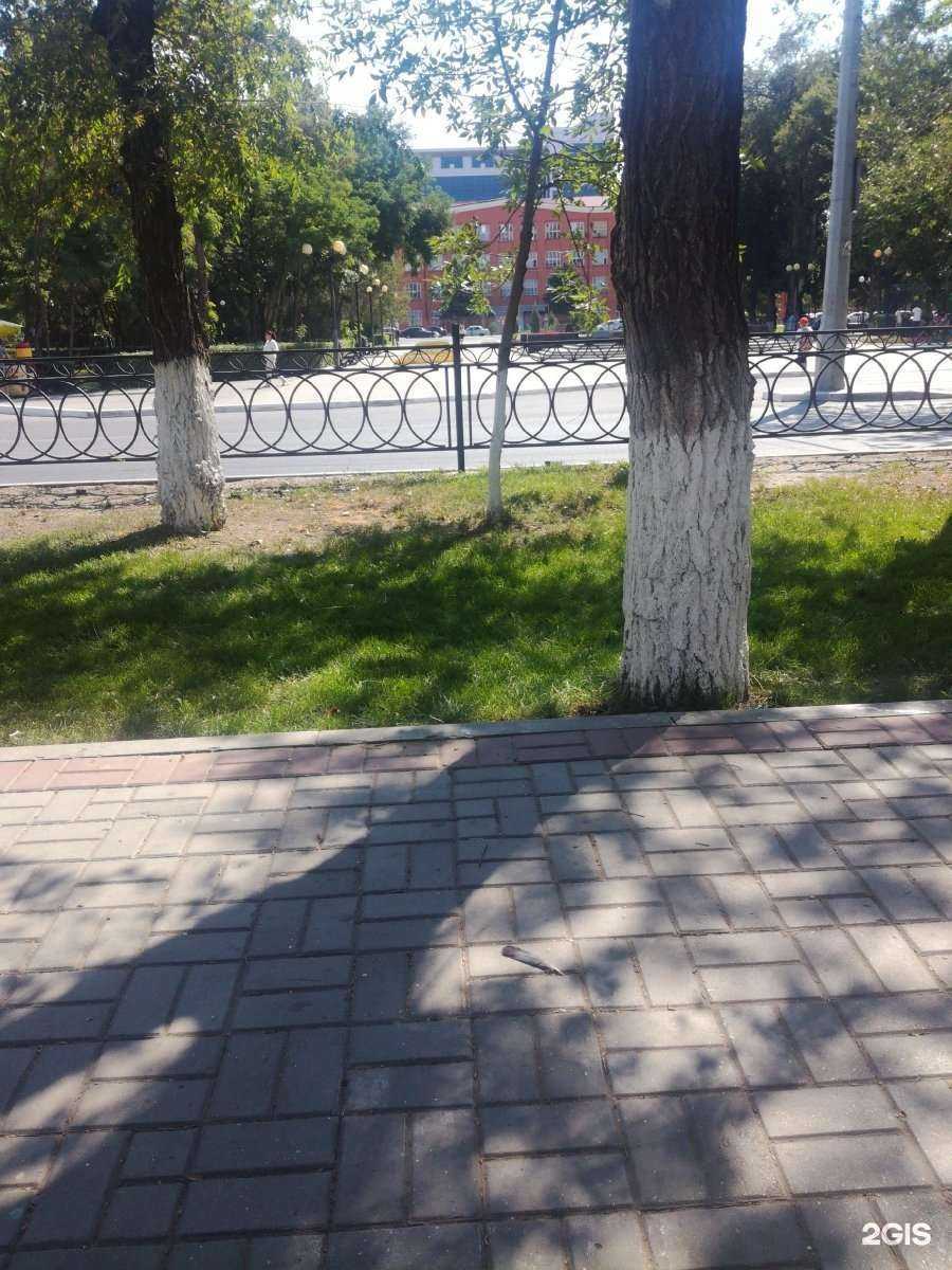 Отзывы на компанию Саратовская государственная юридическая академия в Астрахани c фото