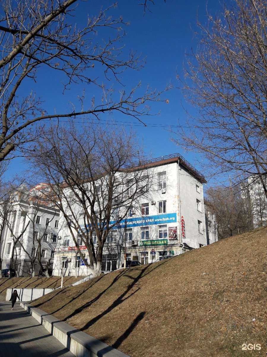 Отзывы на компанию Аудит-контроль в Владивостоке c фото - фотография 2 из 2