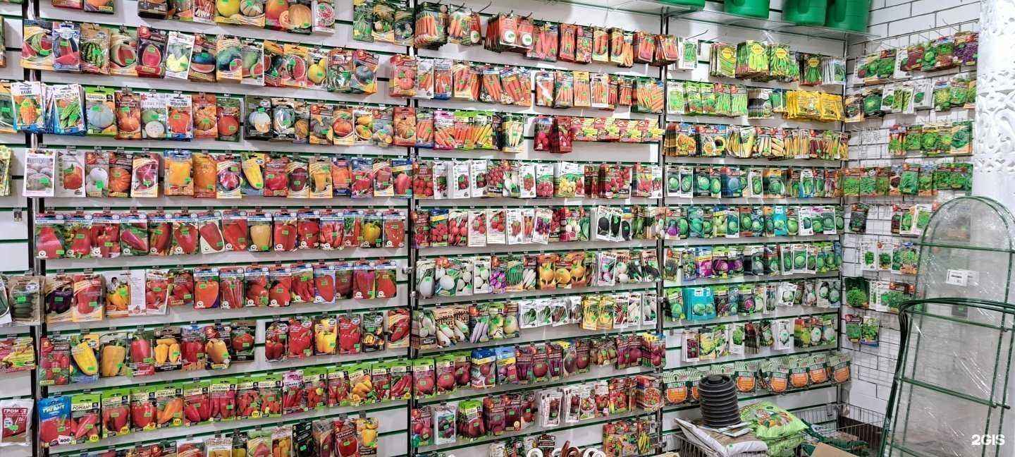 Отзывы на компанию Дом и сад в г. Альметьевск c фото