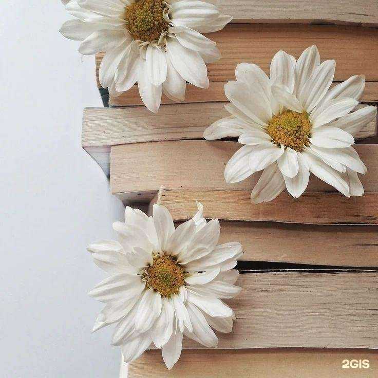 Отзывы на компанию Парикмахерская в Екатеринбурге c фото